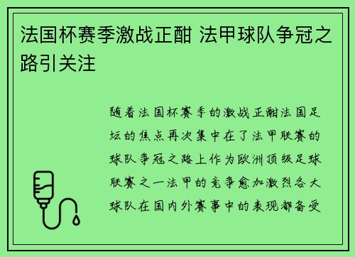 法国杯赛季激战正酣 法甲球队争冠之路引关注